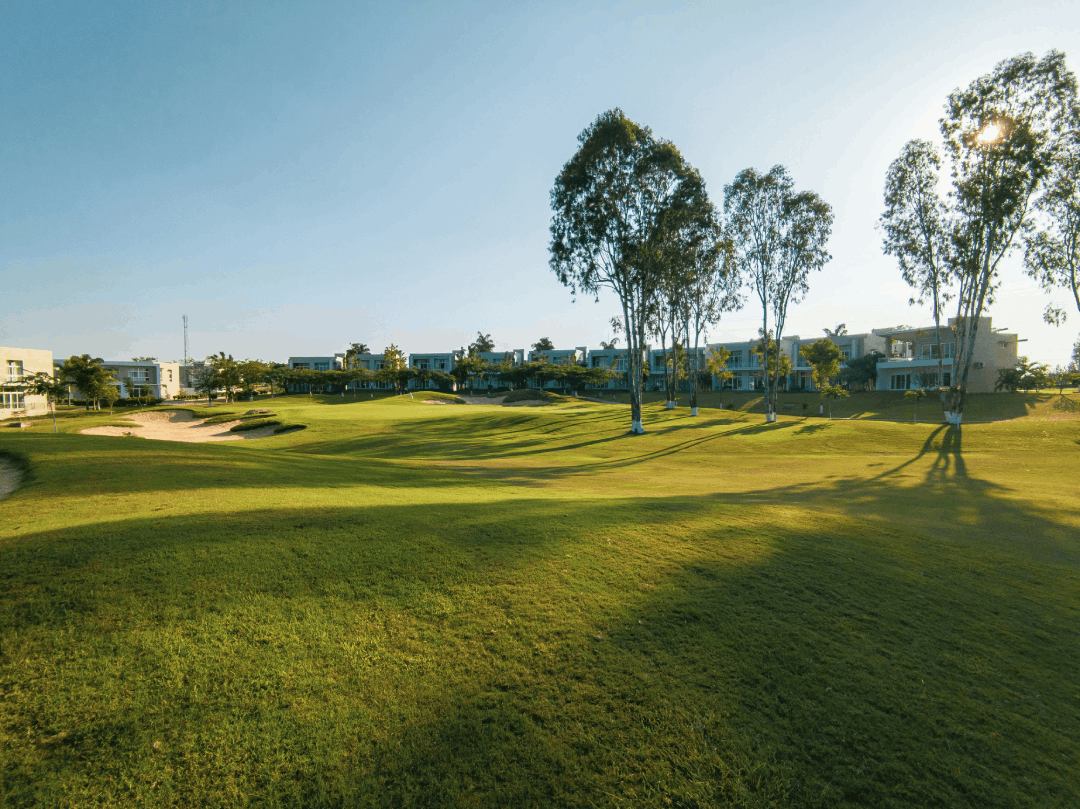 Jumeirah Golf Estates Property